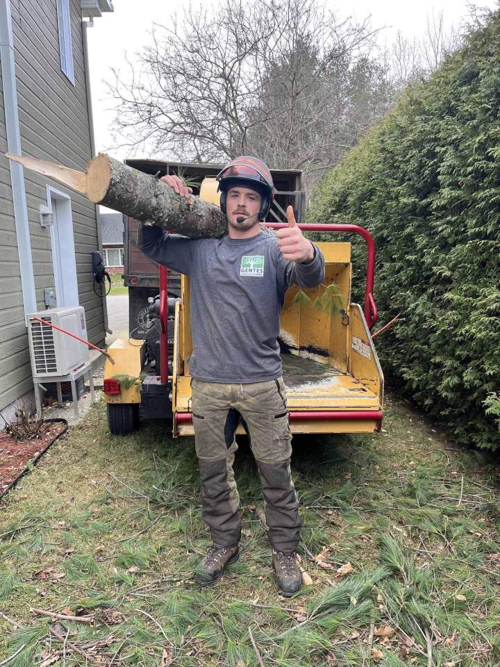 Spécialiste du déchiquetage, Nicolet