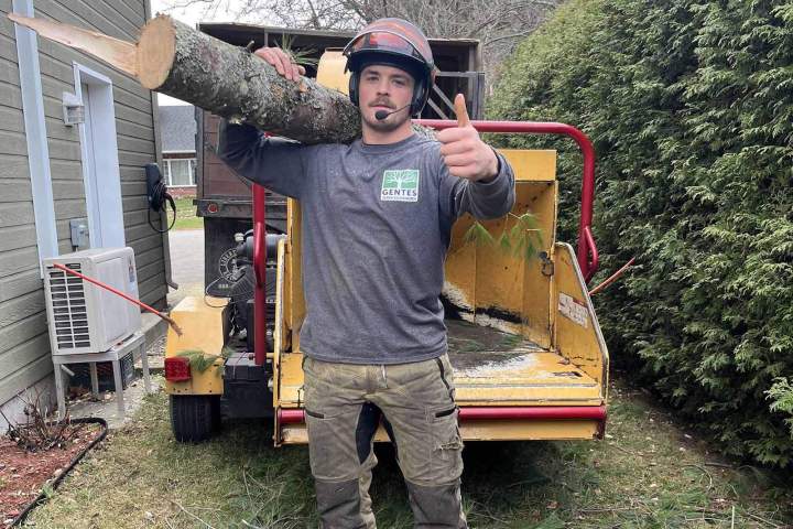 Gestion des branches coupées, Nicolet