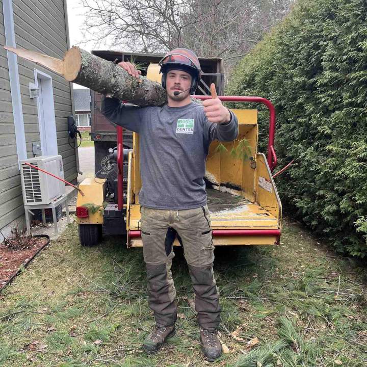 Collecte des troncs d'arbre coupés, Nicolet