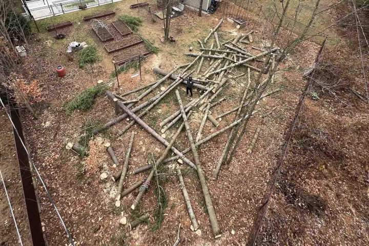 Gestion des déchets d'élagage, Nicolet