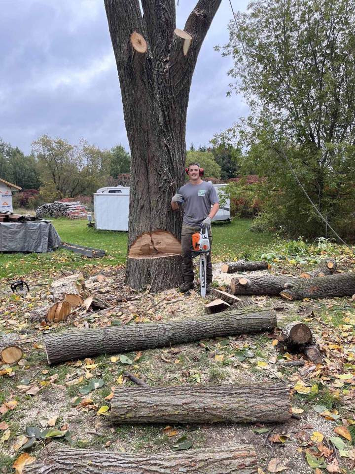 Abattre les arbres, Nicolet
