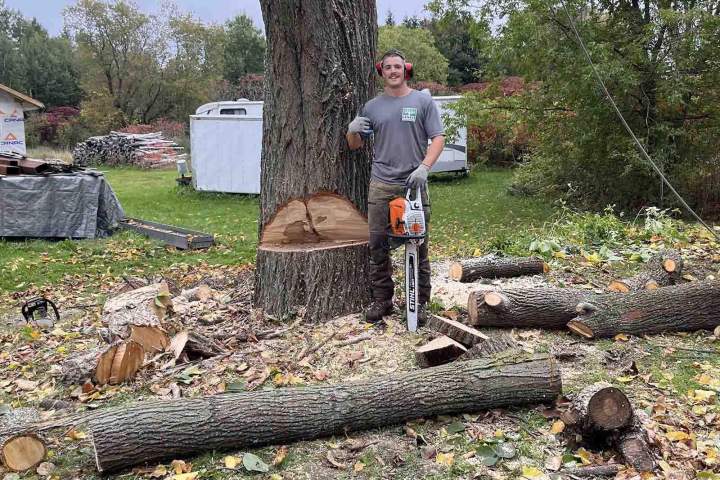 Abattage d'arbres sécuritaire, Nicolet