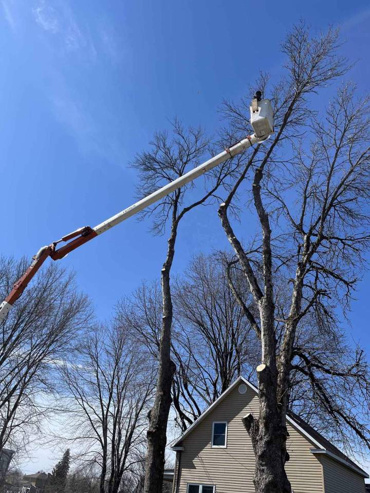 Élagage d'arbre en hauteur, Nicolet