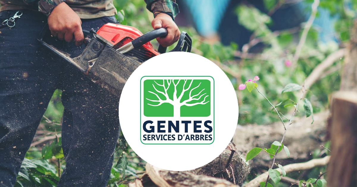 Gentes services d'arbres photo 2